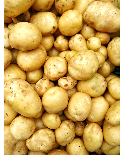 POTATOES-3