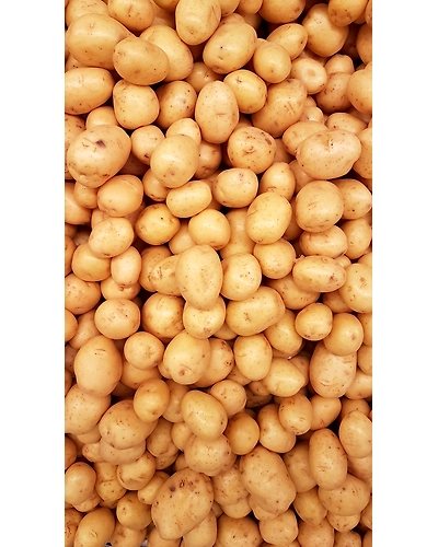 POTATOES-1