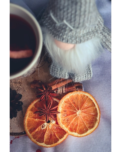DRIED ORANGES-1
