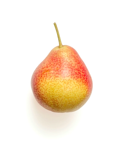PEAR-12337536