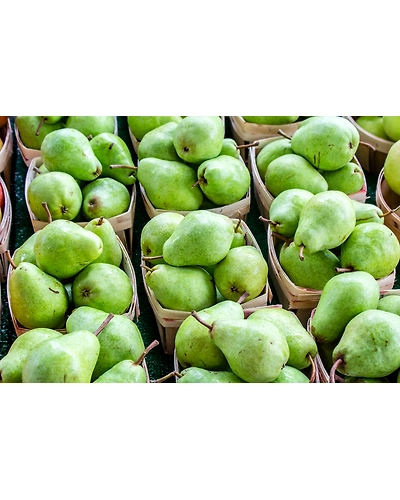 PEAR-2