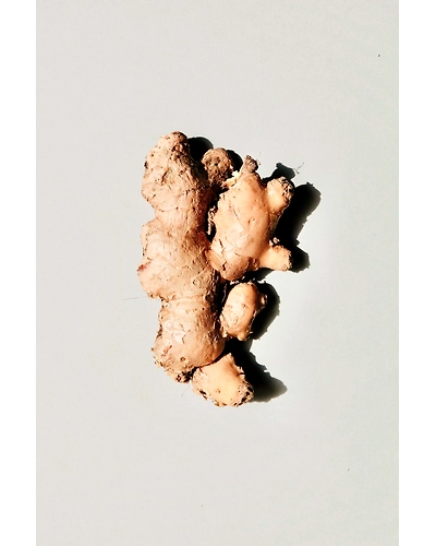 GINGER-12337550
