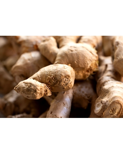 GINGER-3