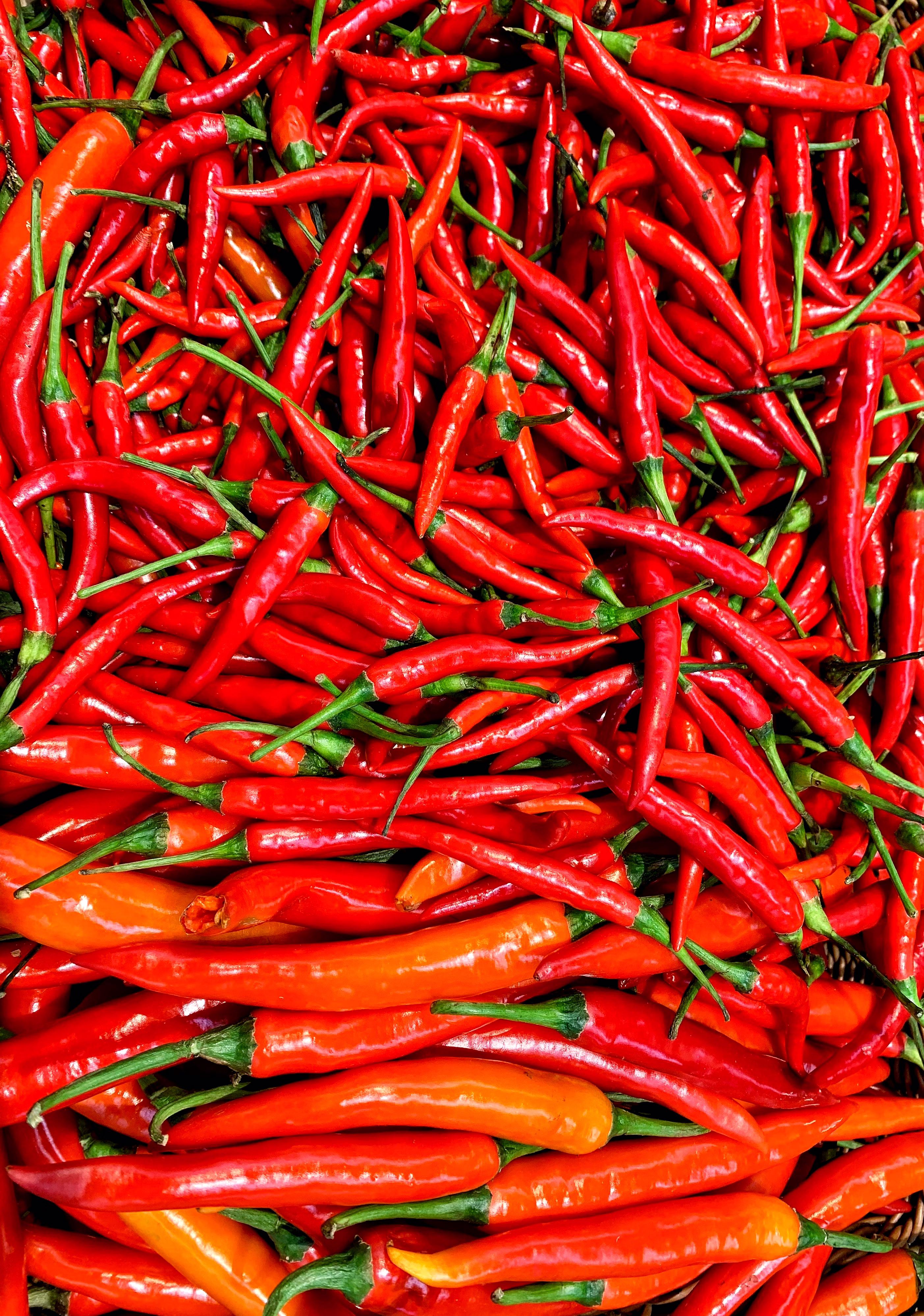 CHILLI image 2