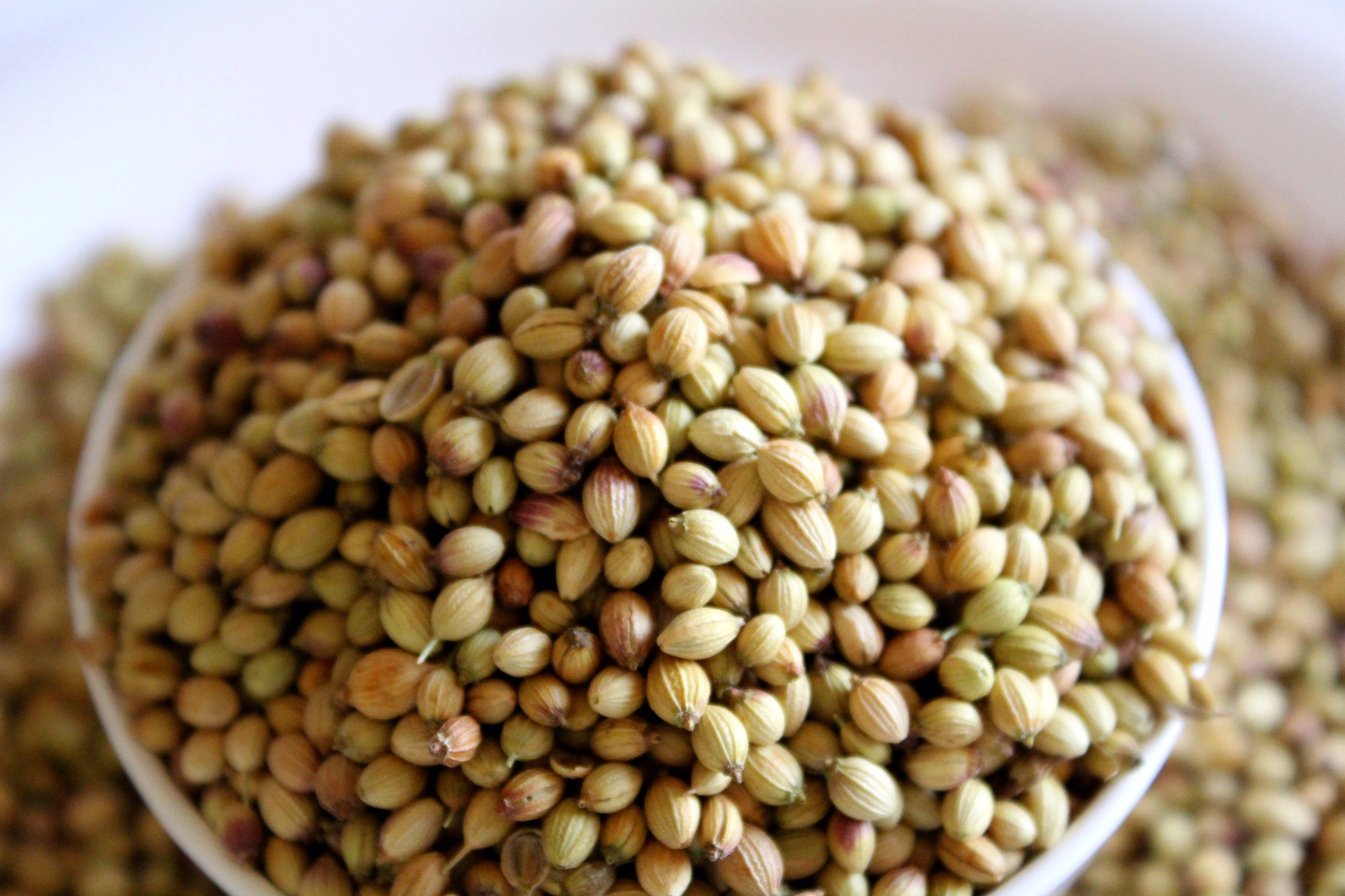 CORIANDER SEEDS image 4