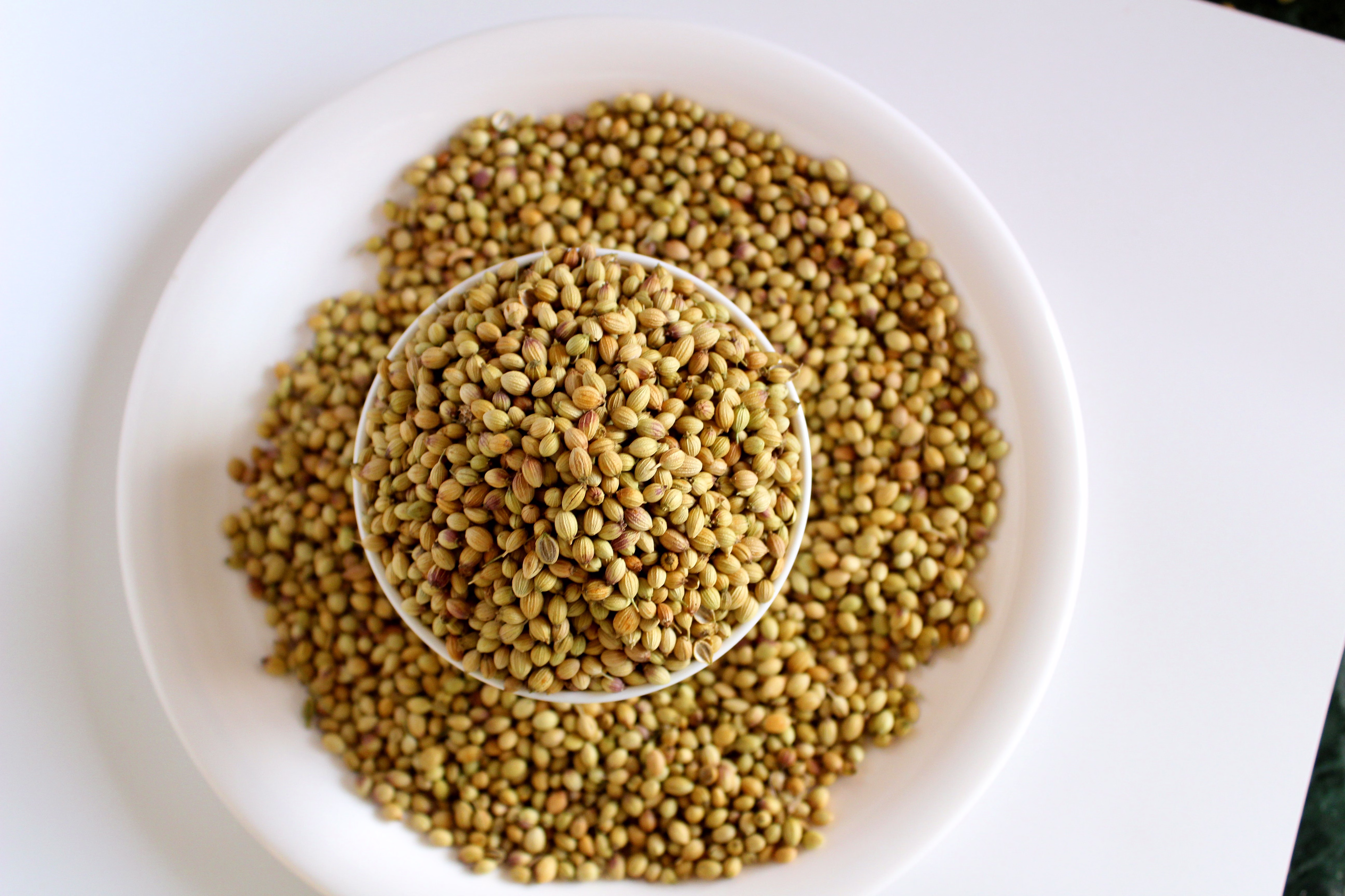 CORIANDER SEEDS image 2