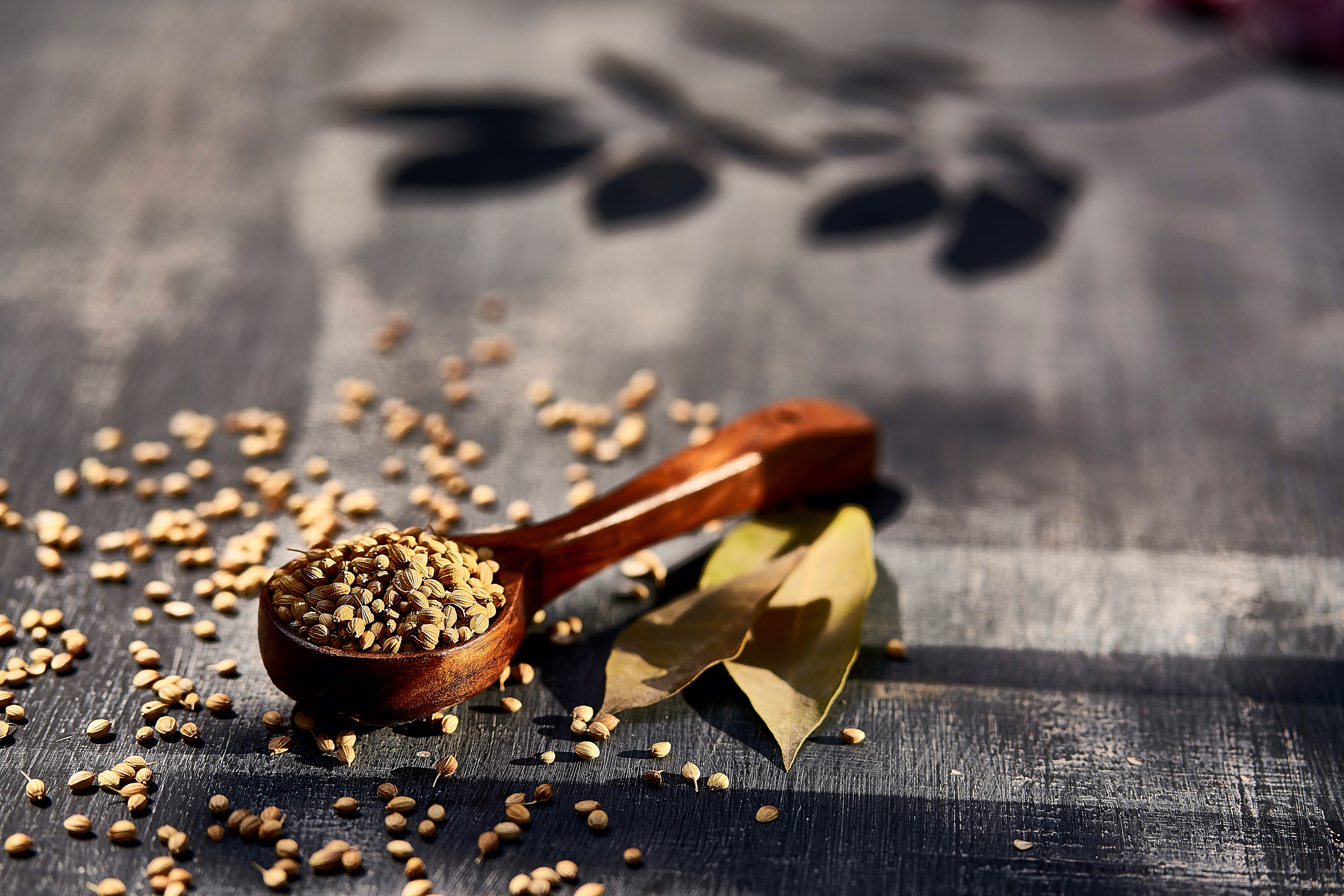 CORIANDER SEEDS image 3