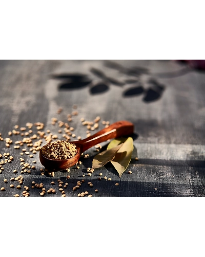 CORIANDER SEEDS-2