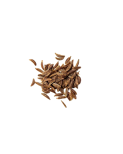 CUMIN SEEDS-1