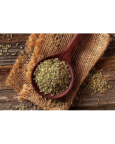 FENNEL SEED-2