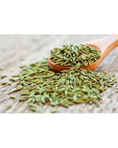FENNEL SEED-4