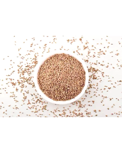 AJWAIN SEED-12337676