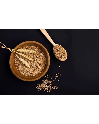 BARLEY-12337678