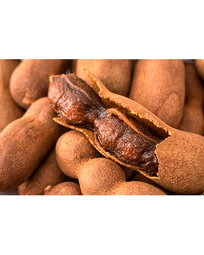 TAMARIND-3