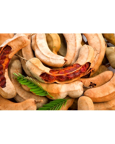 TAMARIND-2
