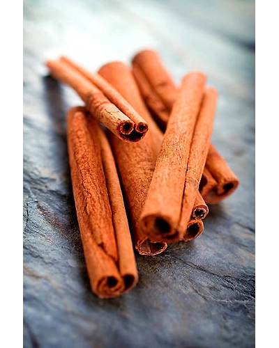 CINNAMON AND CASSSIA-12337688