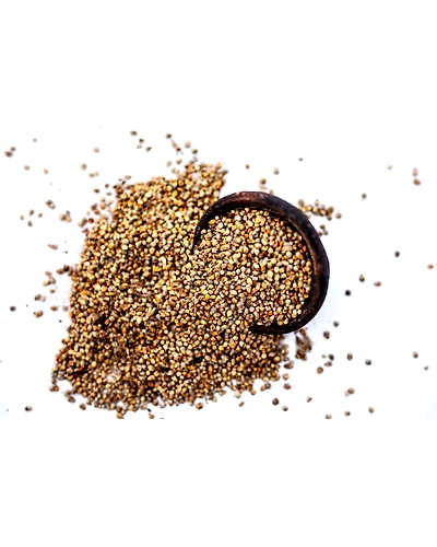 PEARL MILLET-2