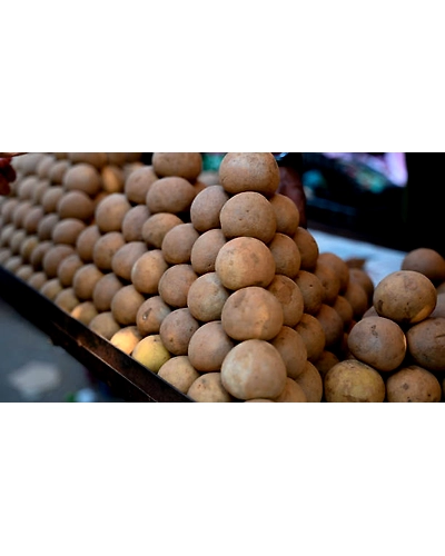 SAPOTA-4