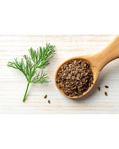 DILL SEED-3