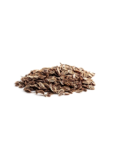 DILL SEED-2