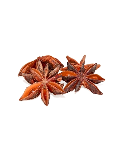 STAR-ANISE SEED-12337706