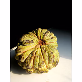 custard apple