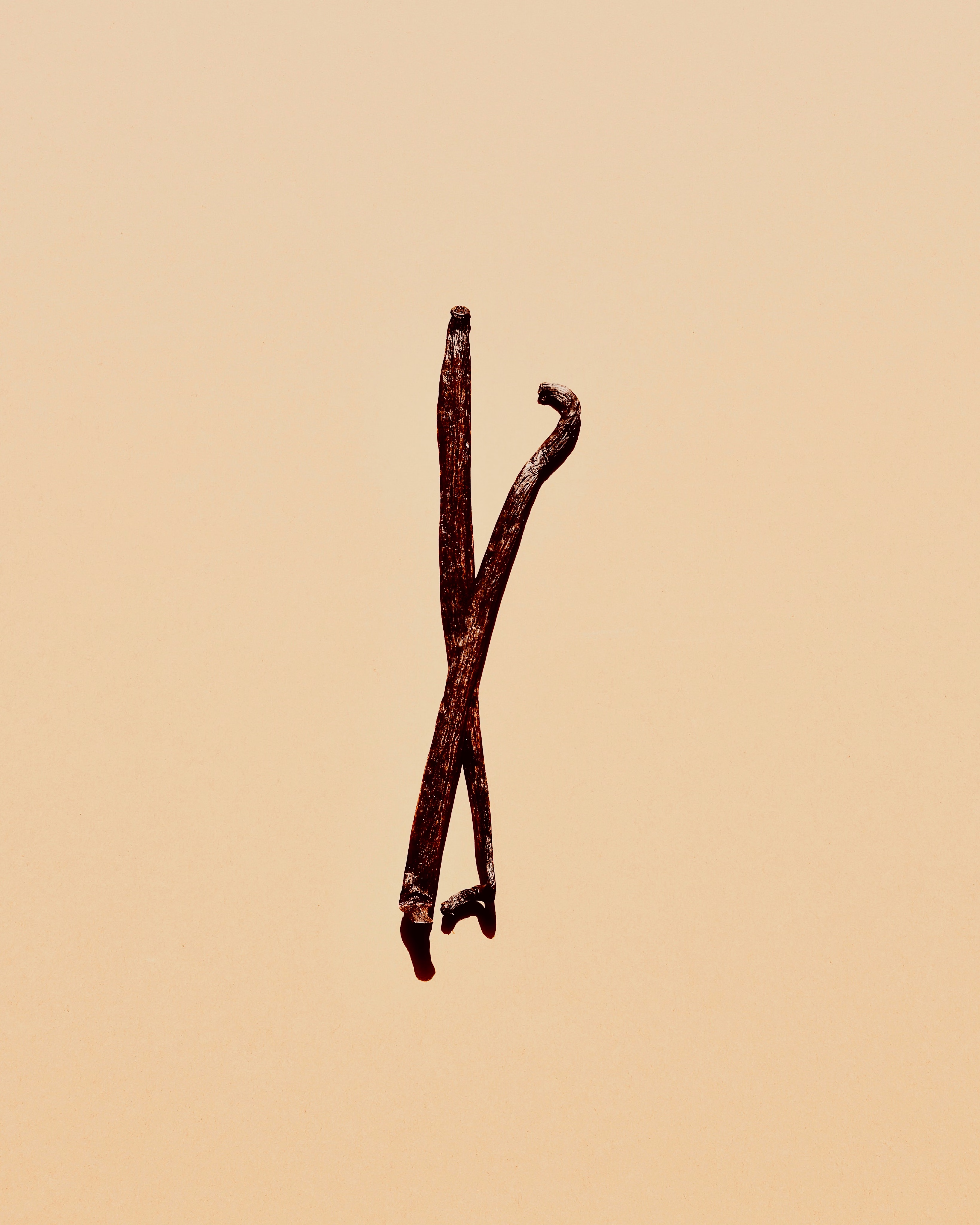 VANILLA image 5