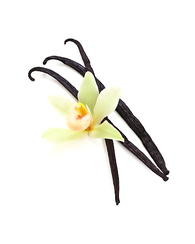 VANILLA-3