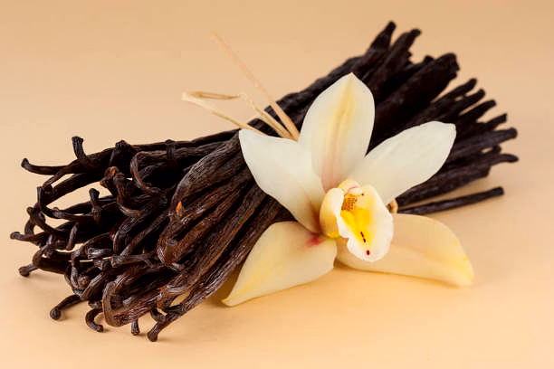 vanilla
