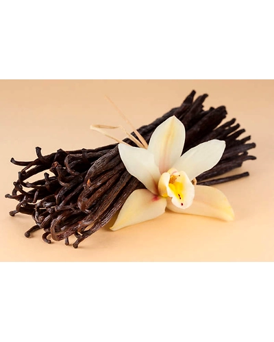 VANILLA-12337714