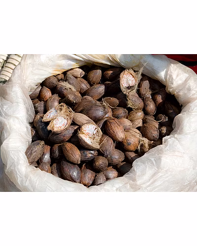 ARECANUT-1