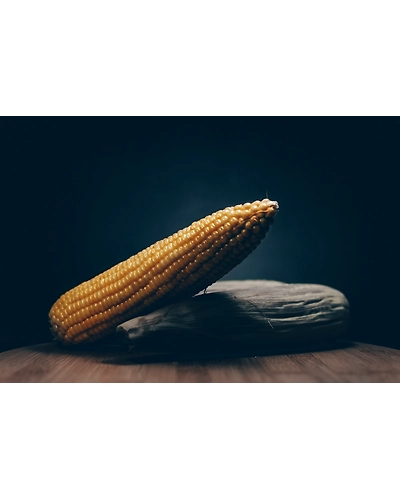 MAIZE-12337726