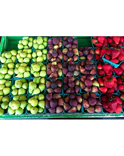 FIGS FRESH-2