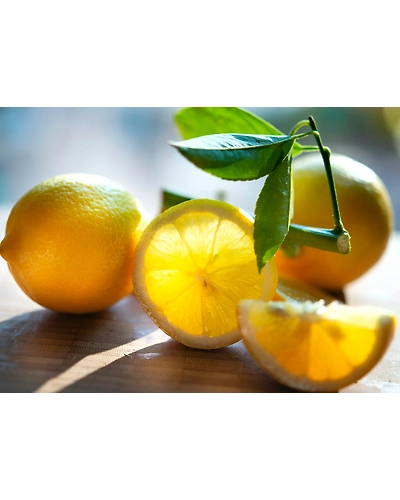 LEMONS-5
