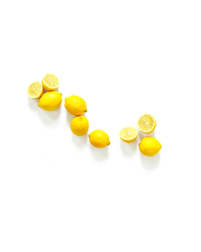 LEMONS-2