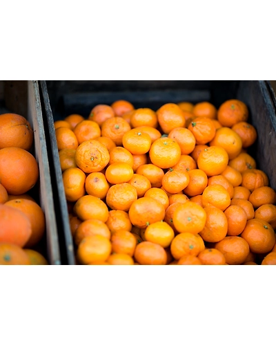 MANDARINS-5