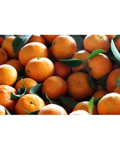 MANDARINS-4