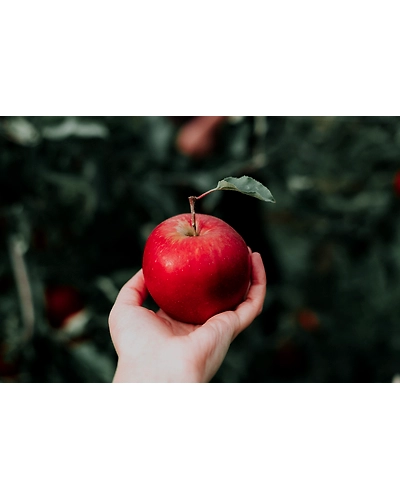 APPLE-4