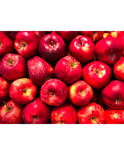APPLE-12337758