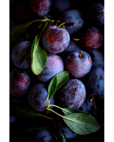 PLUMS-1