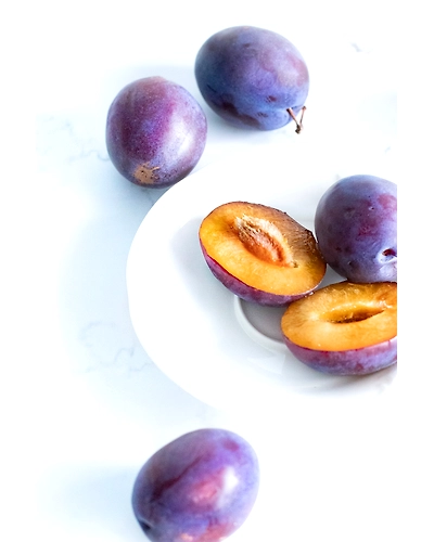 PLUMS-12337770