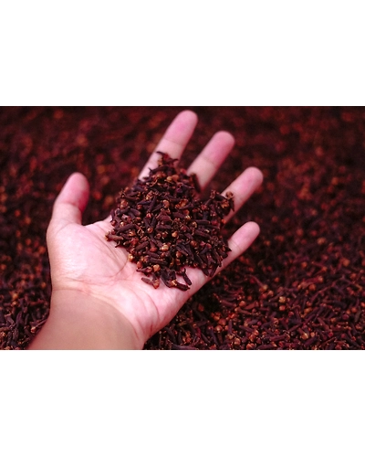 CLOVES-12337774