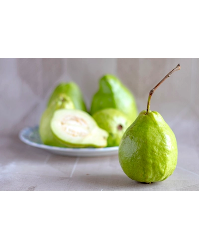 GUAVA-1