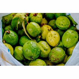 guava