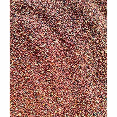 mustard seed