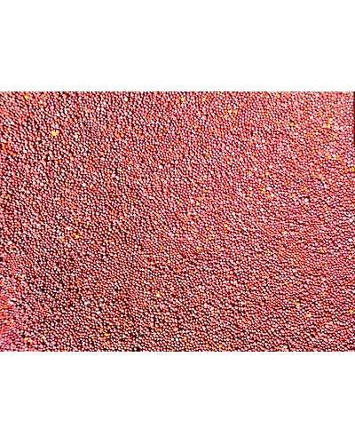 MUSTARD-12337798