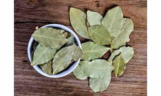 BAY LEAVES