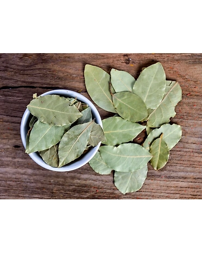 BAY LEAVES-2