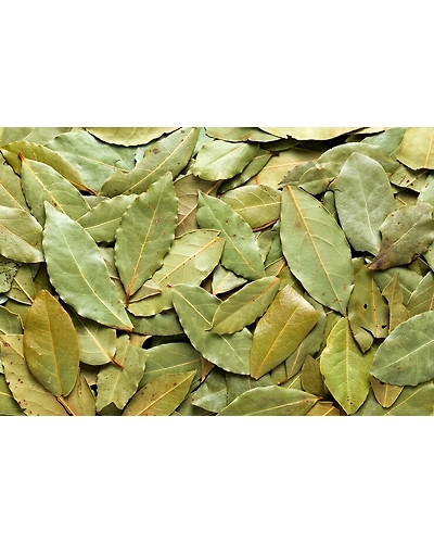 BAY LEAVES-12337870