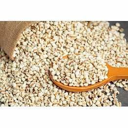 sorghum